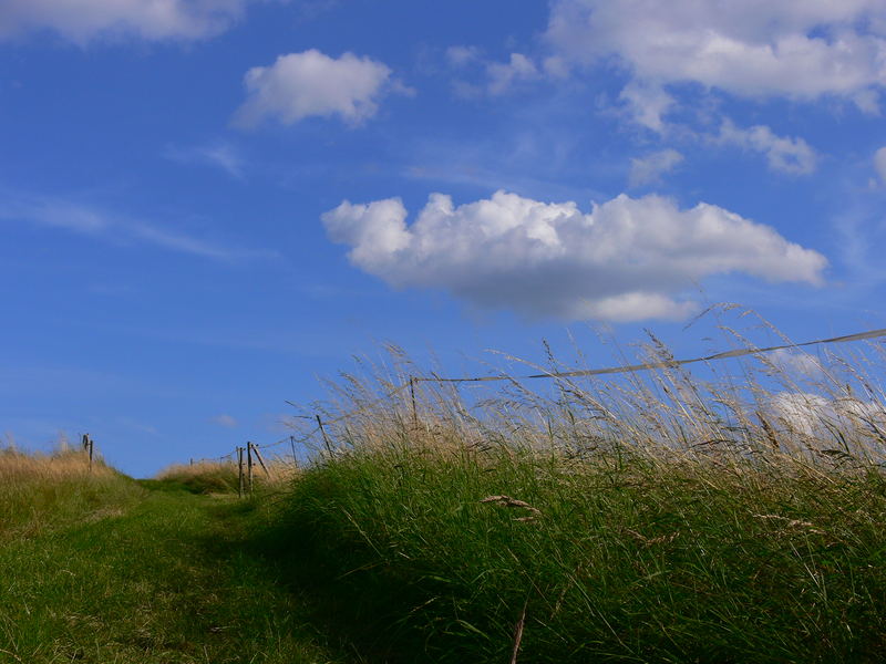 Wolken