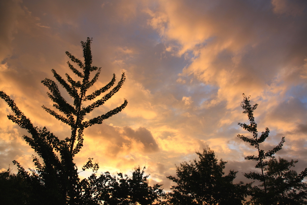 Wolken...