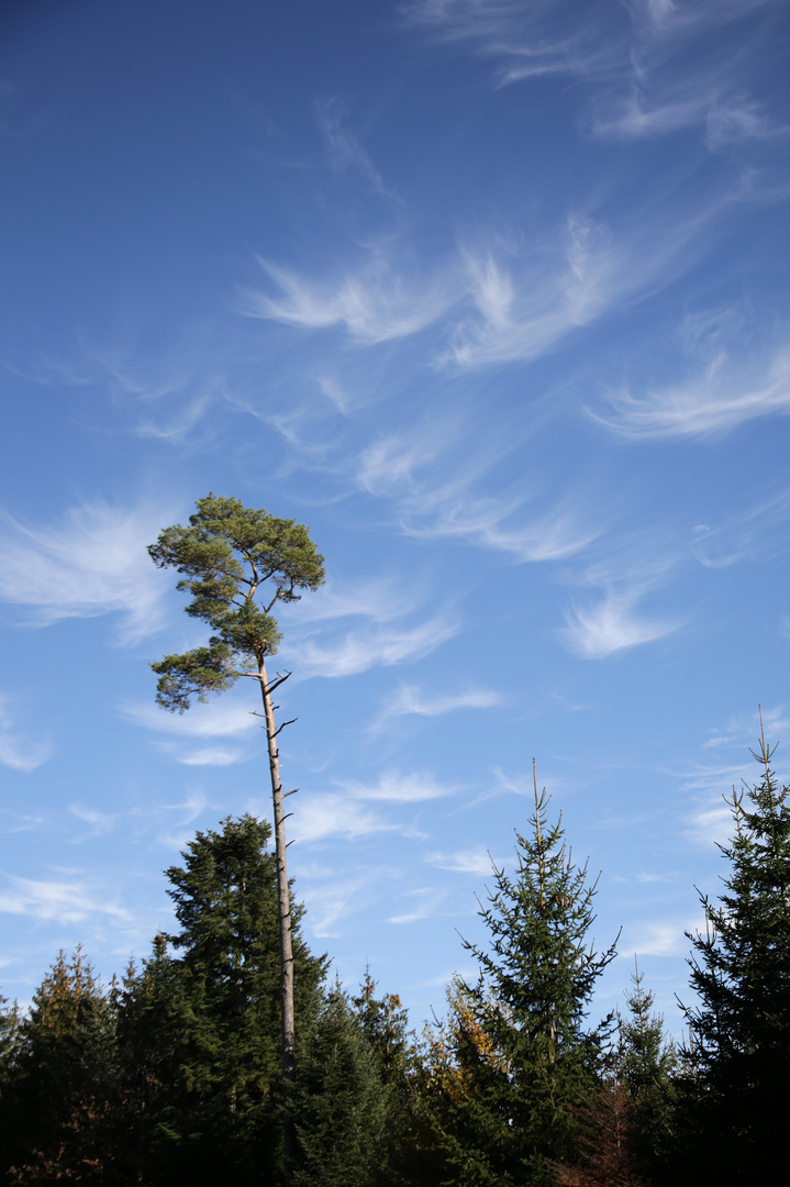 Wolken