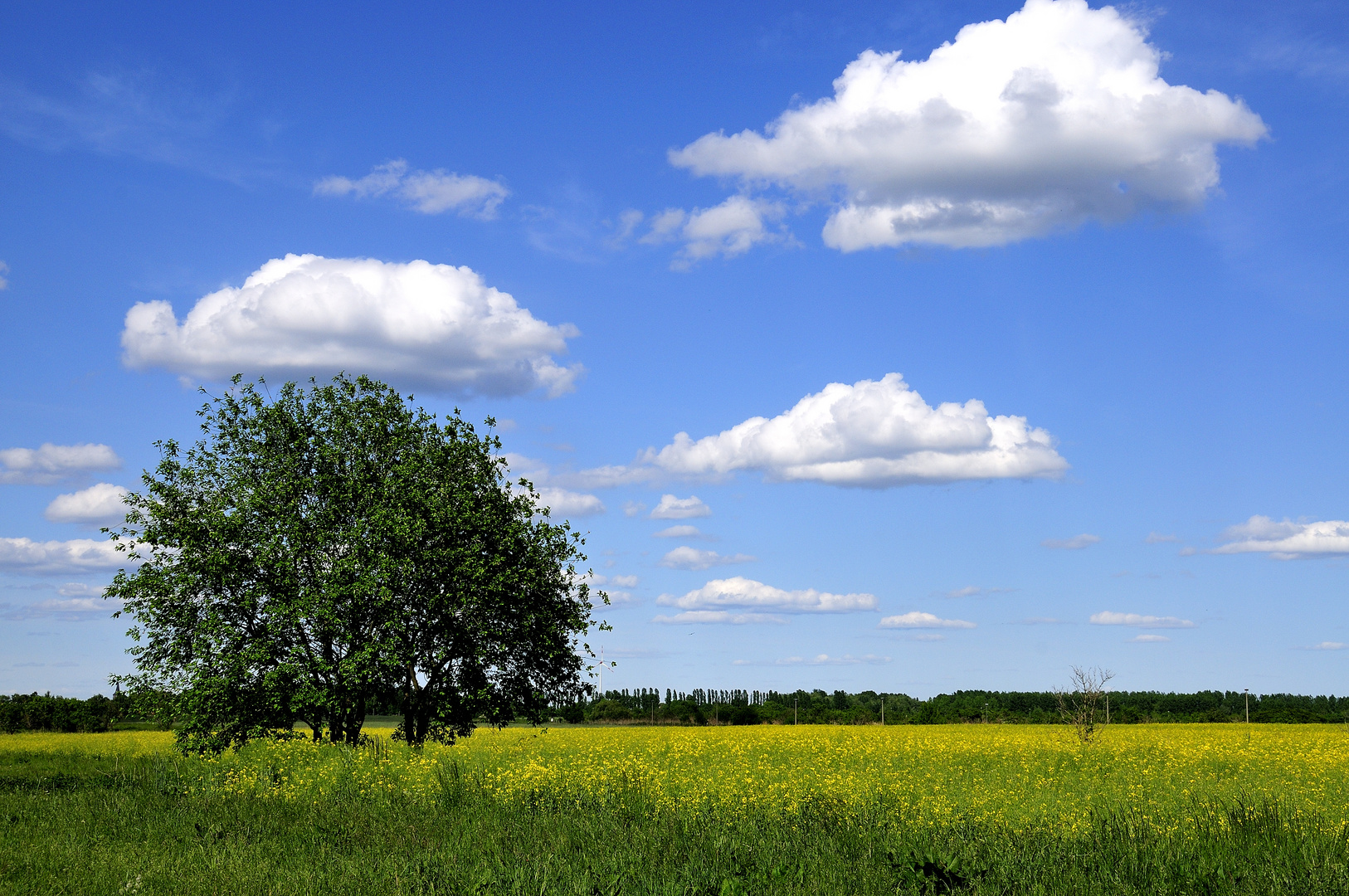 Wolken