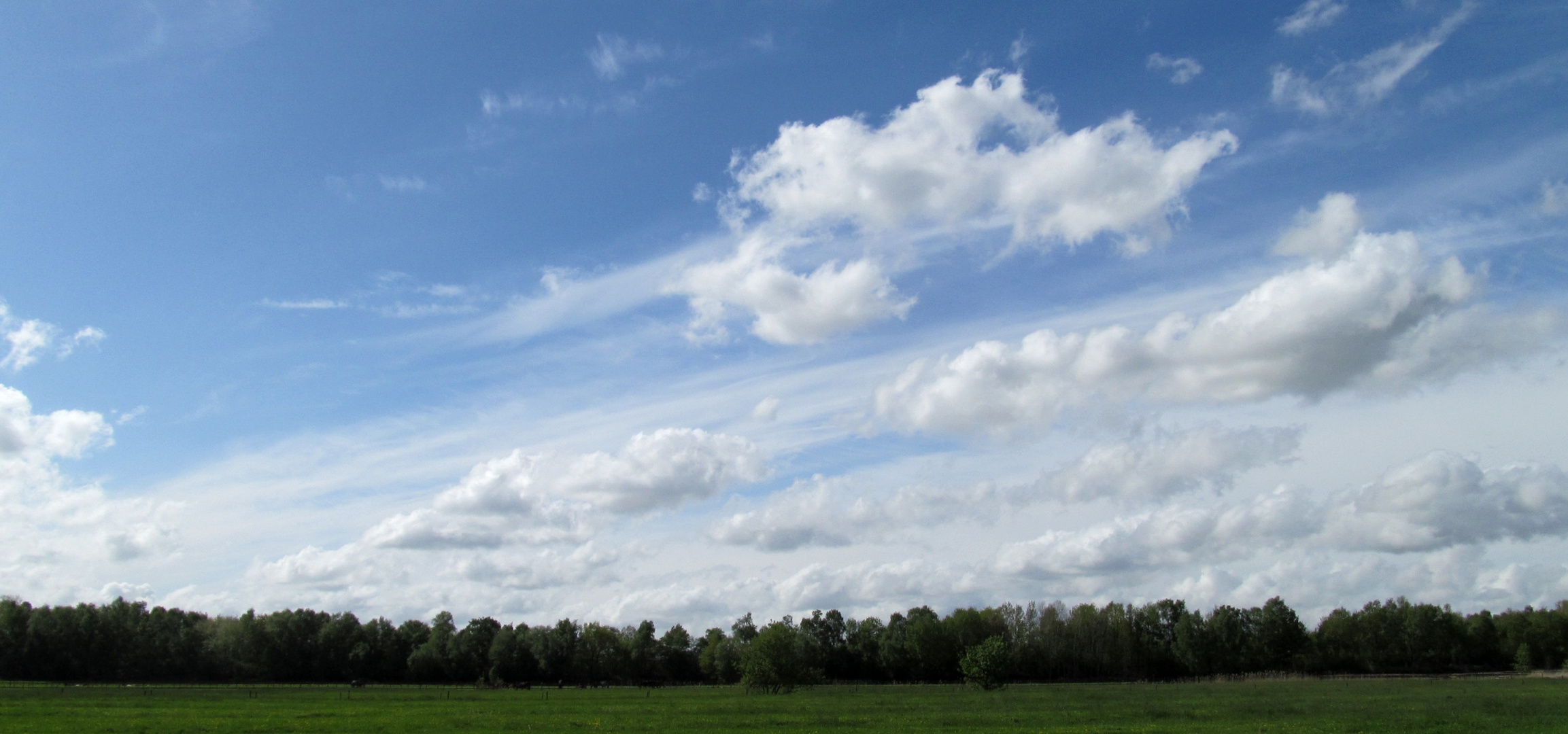 Wolken .............