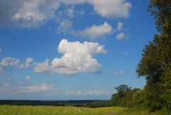 Wolken