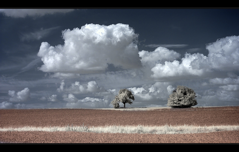 Wolken