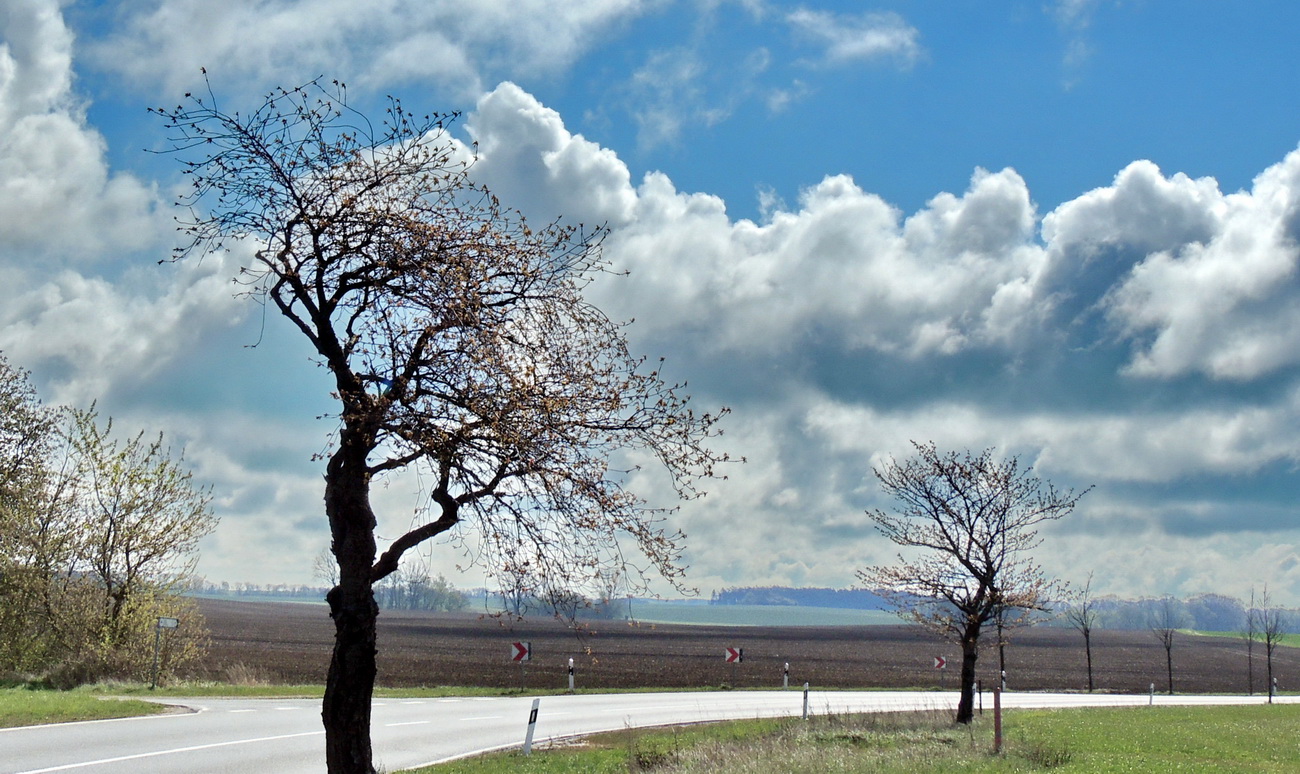 Wolken