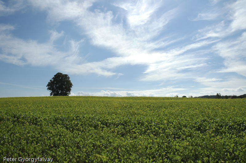 Wolken am Himmel