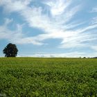 Wolken am Himmel