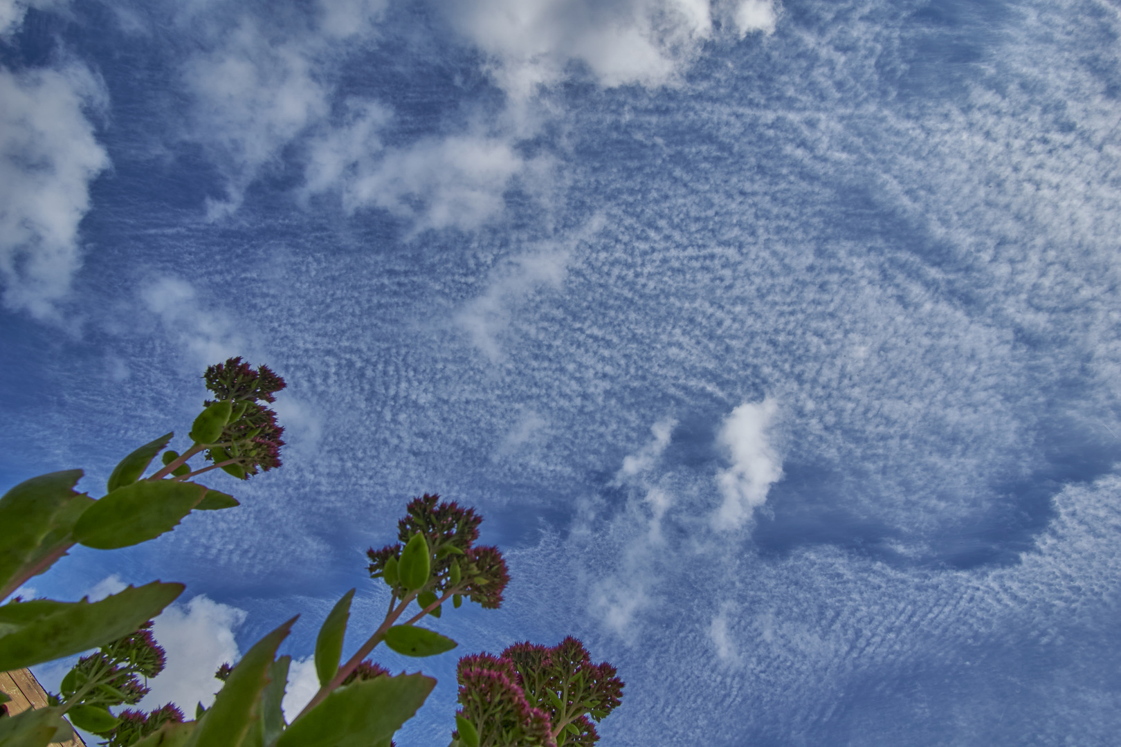 Wolken am Himmel