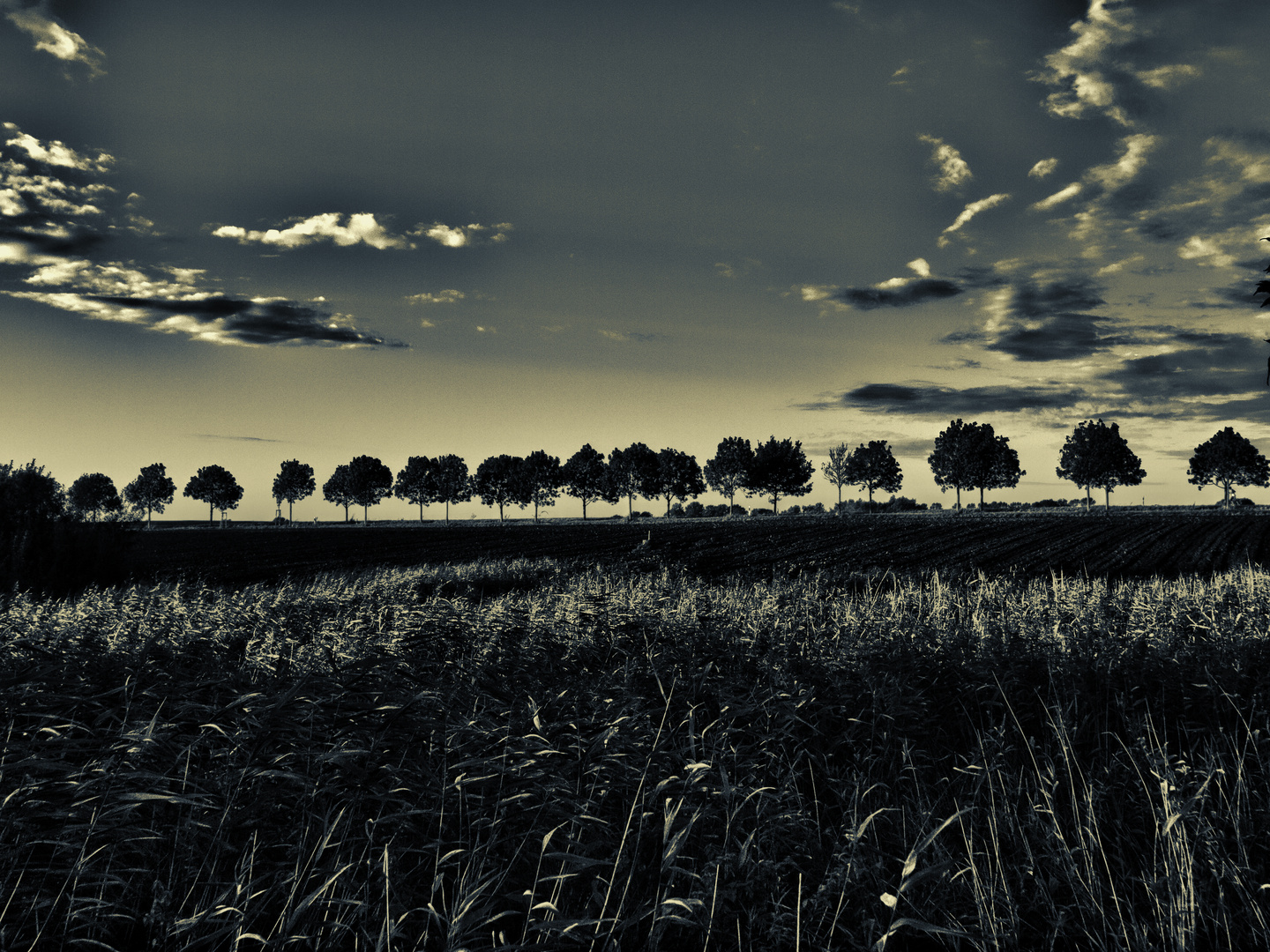 wolken am himmel