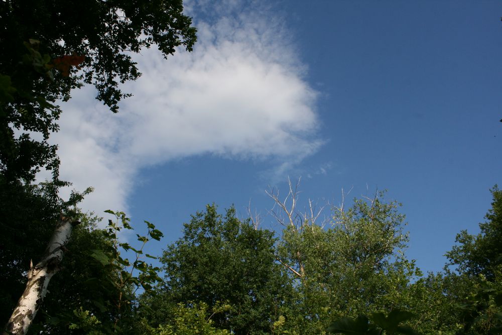 Wolken am Himmelfahrtstag