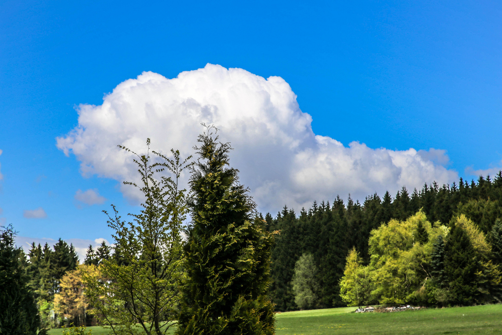 Wolken am Höllkopf