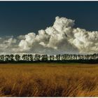 Wolken am Horizont 2