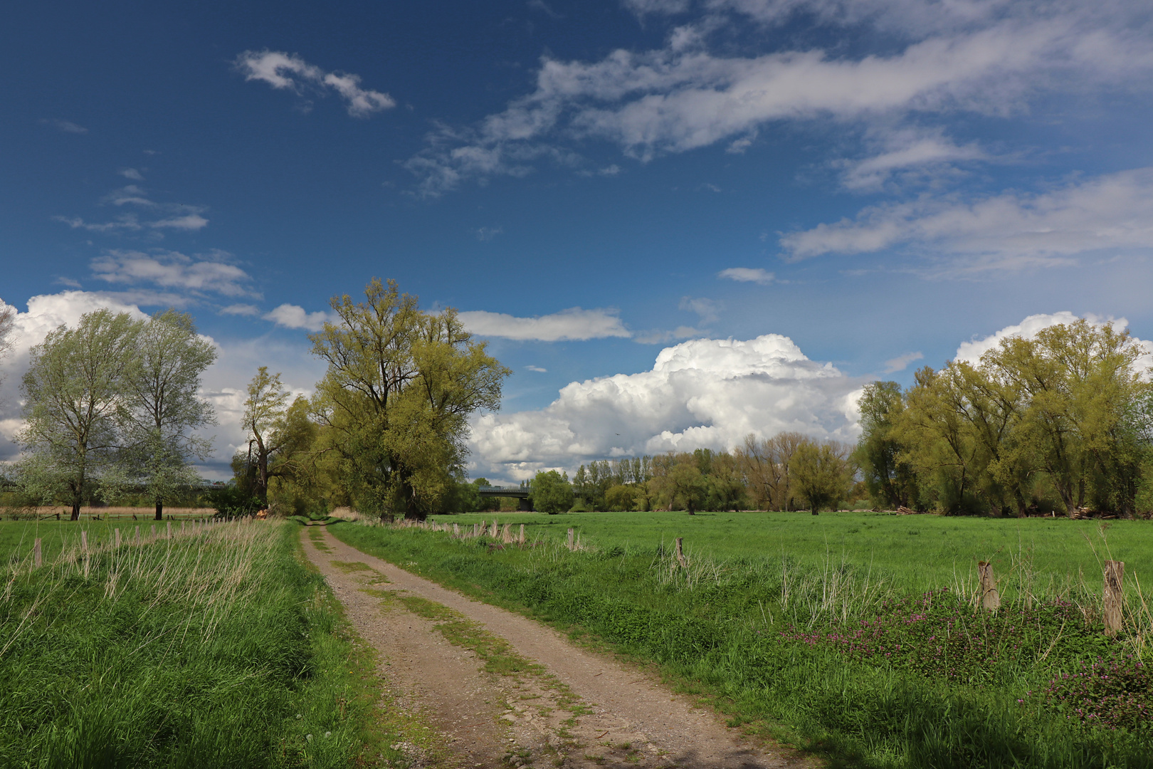 Wolken am Horizont