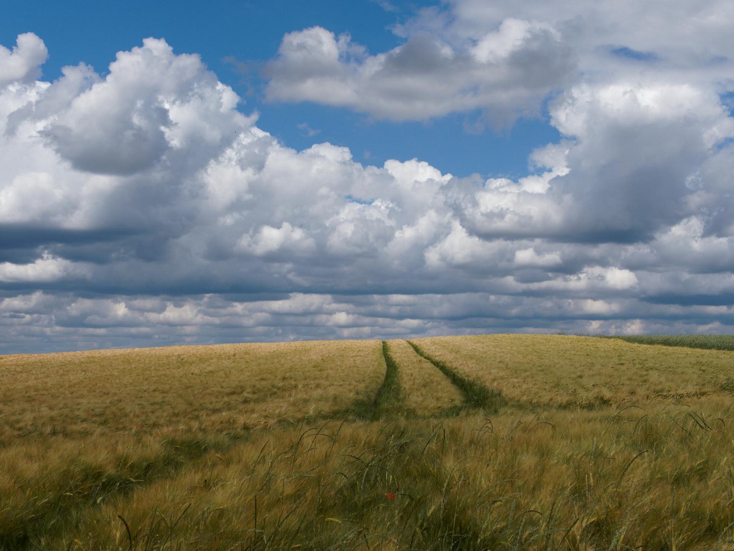 Wolken am Horizont