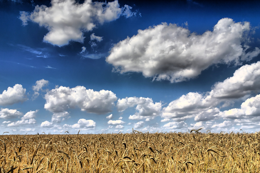 Wolken am Horizont