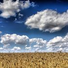 Wolken am Horizont