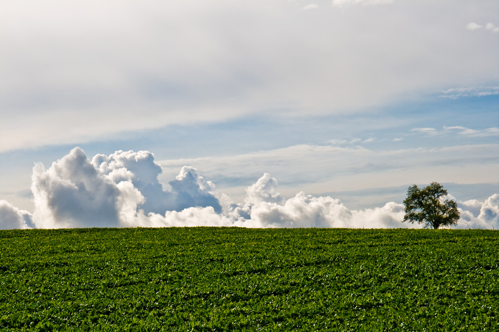 ....Wolken am Horizont...