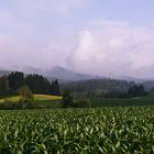 Wolken am Morgen