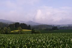 Wolken am Morgen