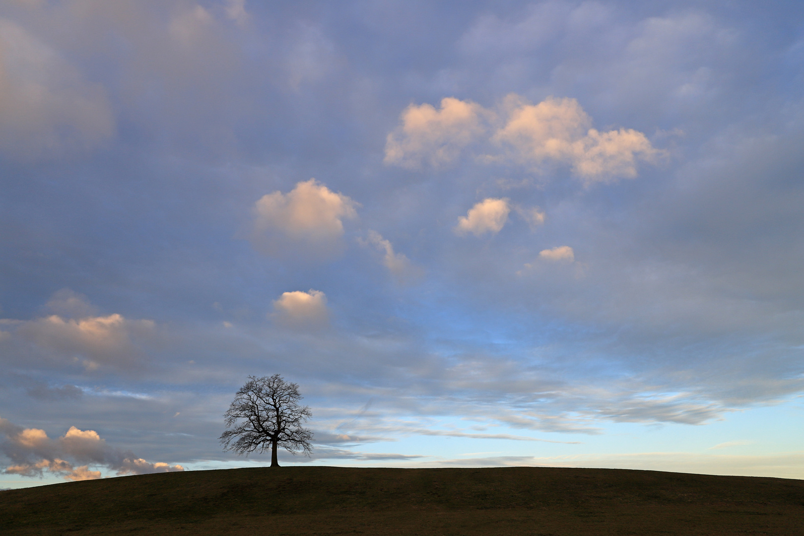 Wolken am Morgen...