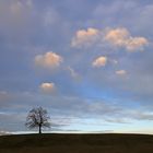 Wolken am Morgen...