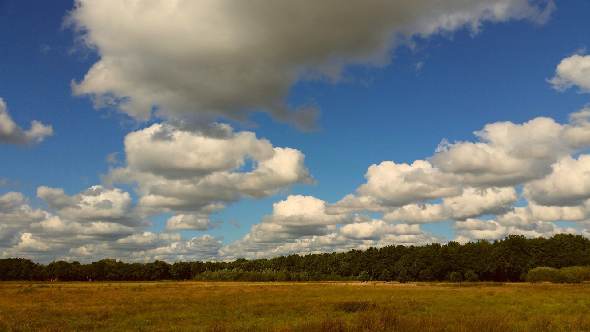 Wolken am Sommerhimmel über einem Feld