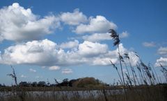 Wolken...