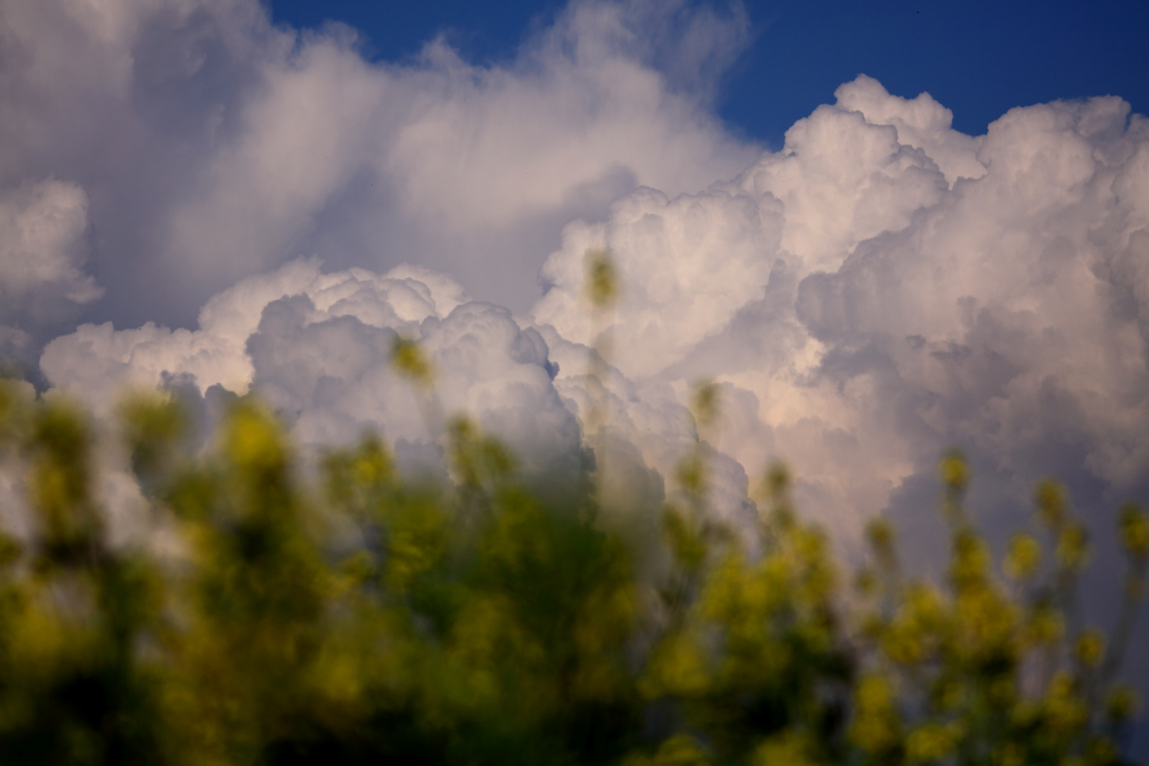 Wolken