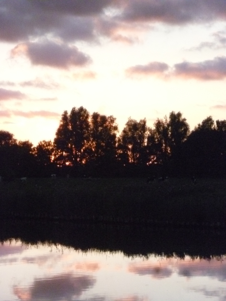 Wolken, Bäume, Wolkenspiegelungen im Wasser am Vareler Hafen