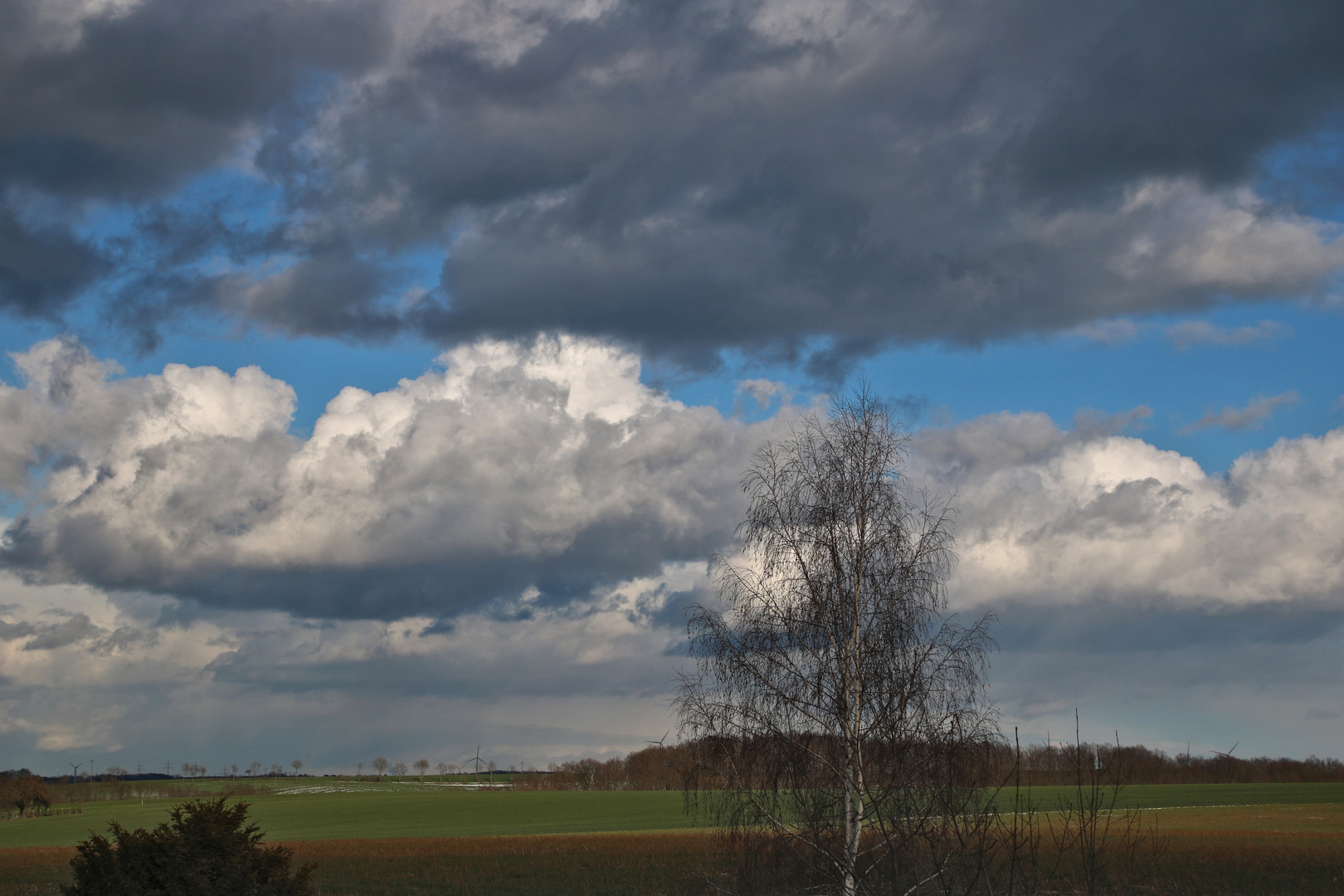 Wolken