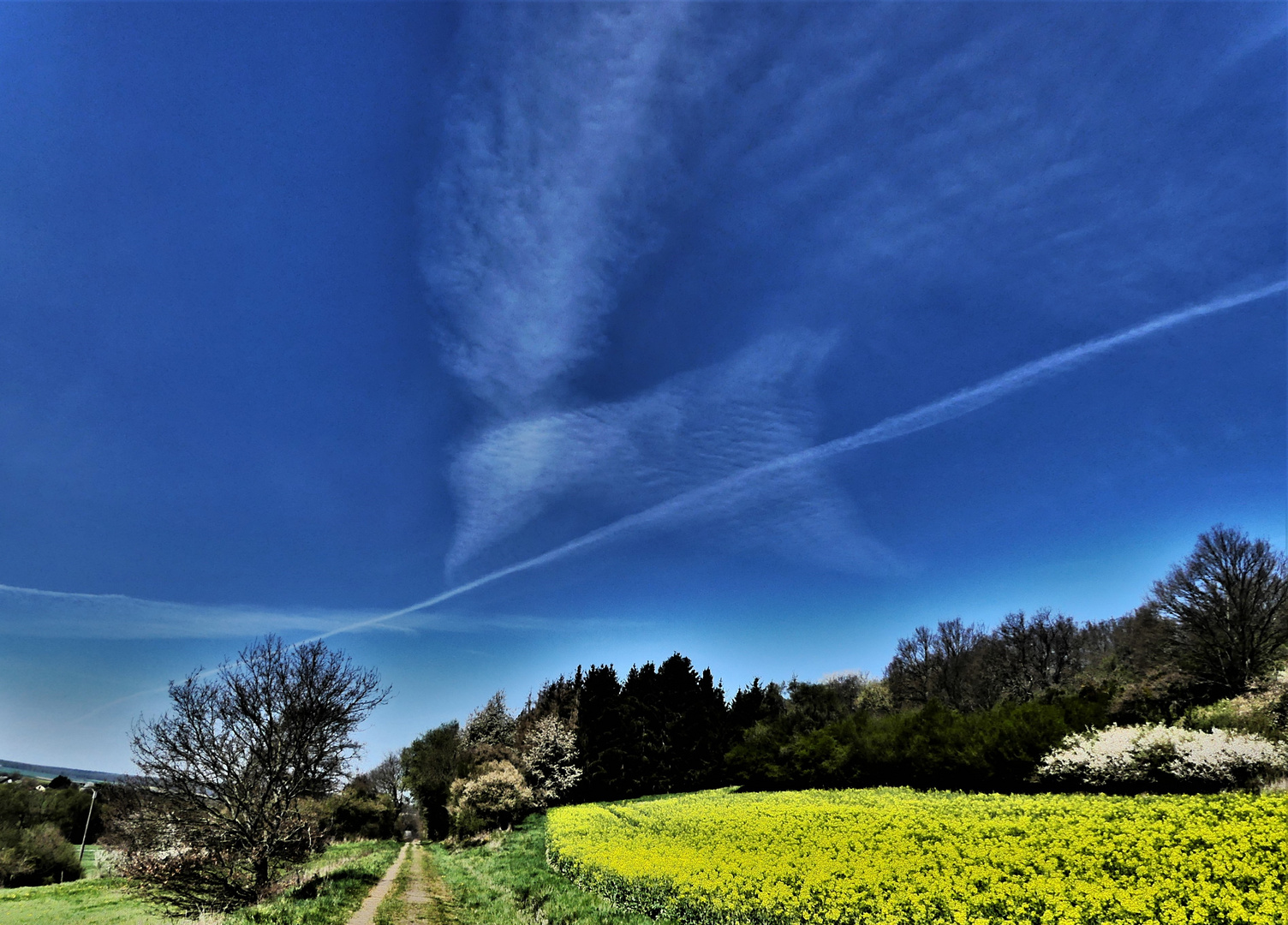 Wolken...