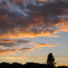 Wolken bei Sonnenuntergang