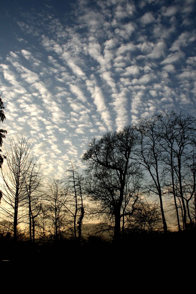 wolken