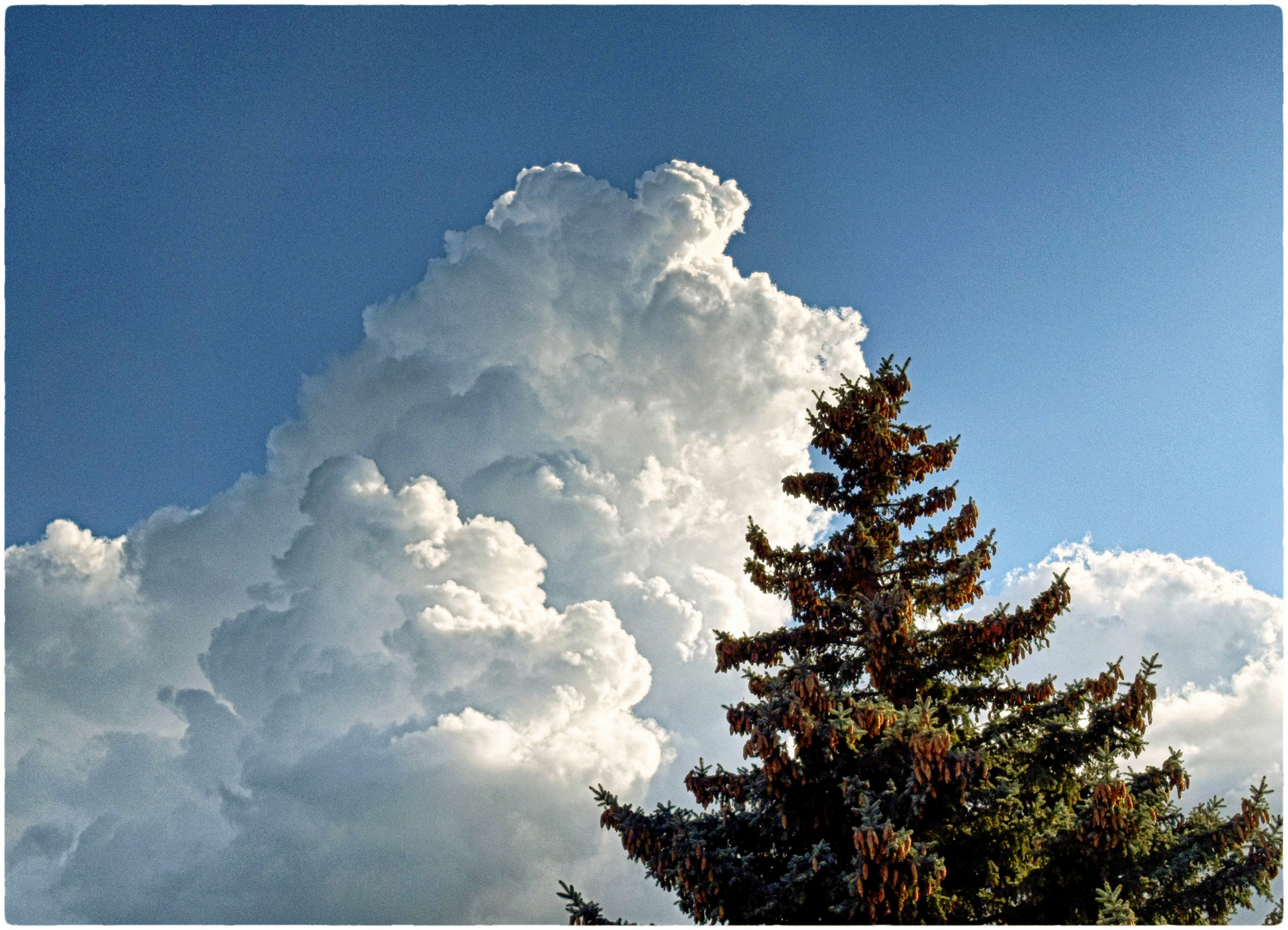 Wolken-Bild