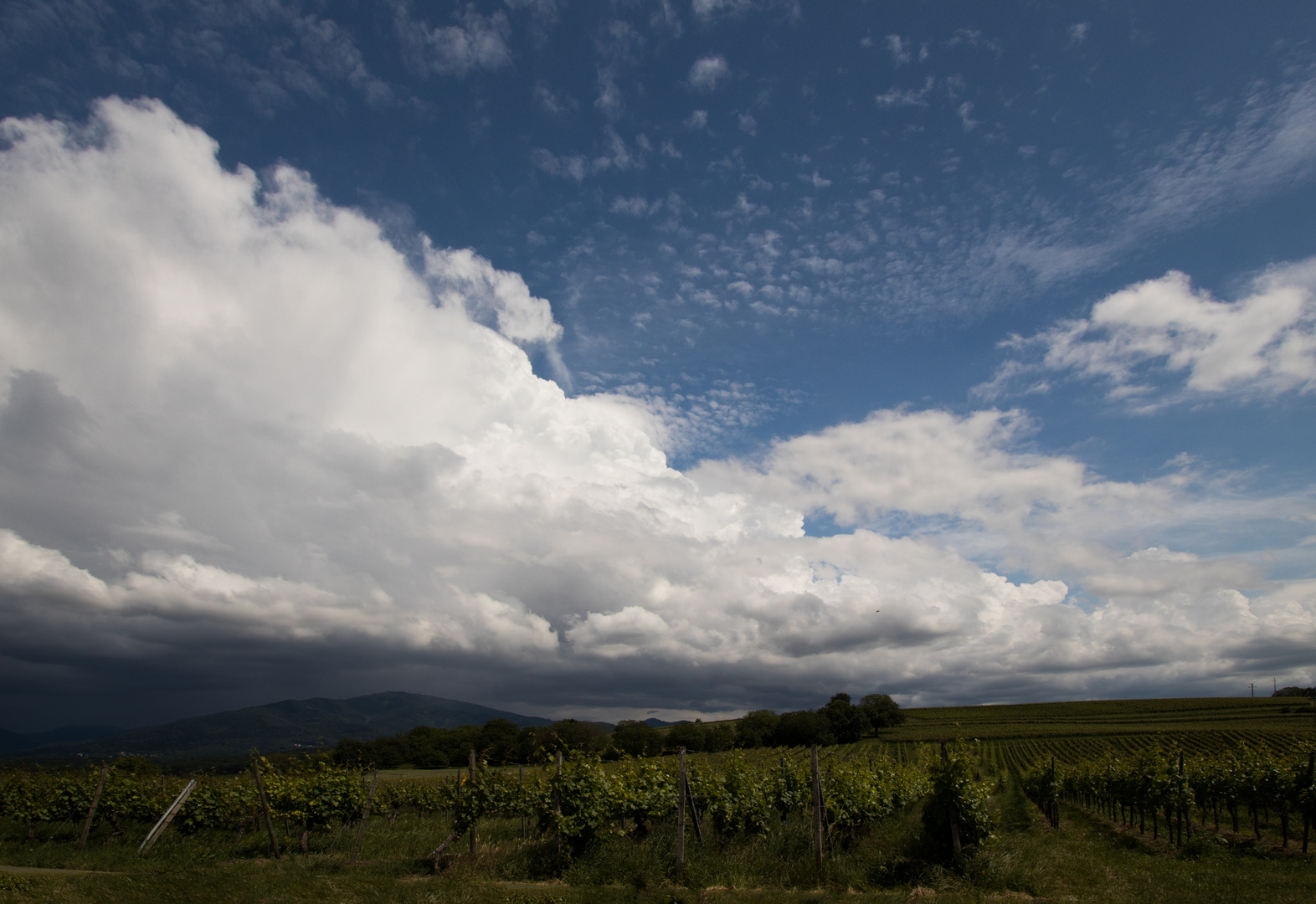 Wolken