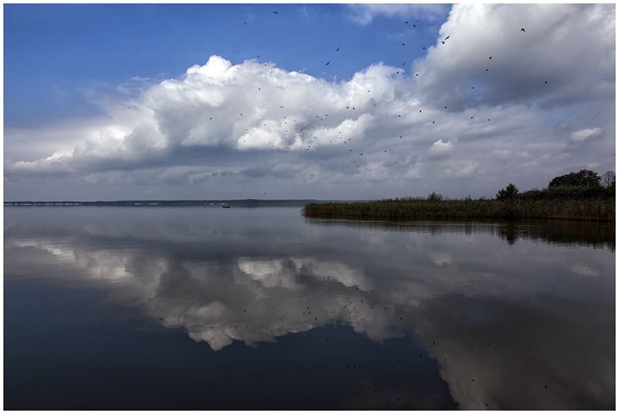 Wolken