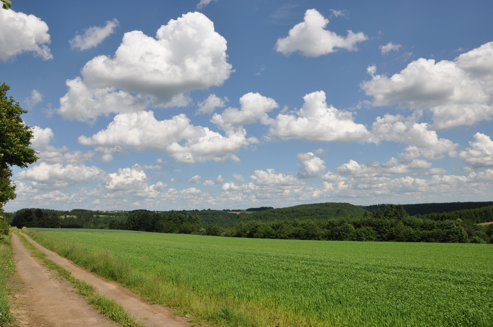 Wolken