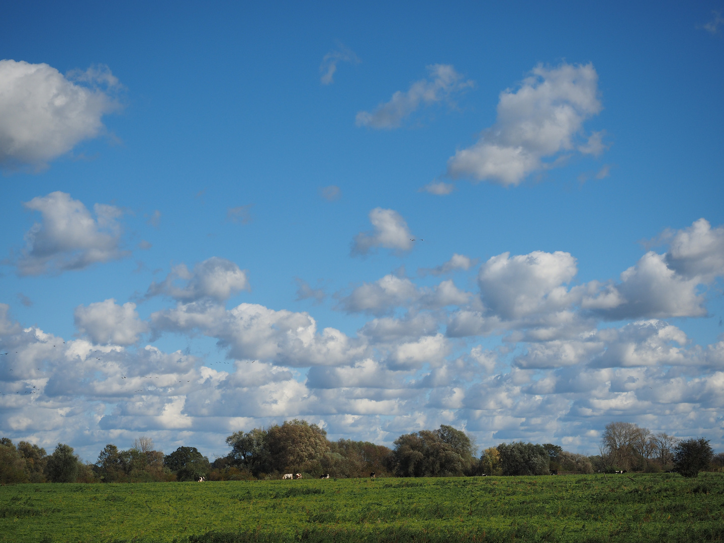 Wolken