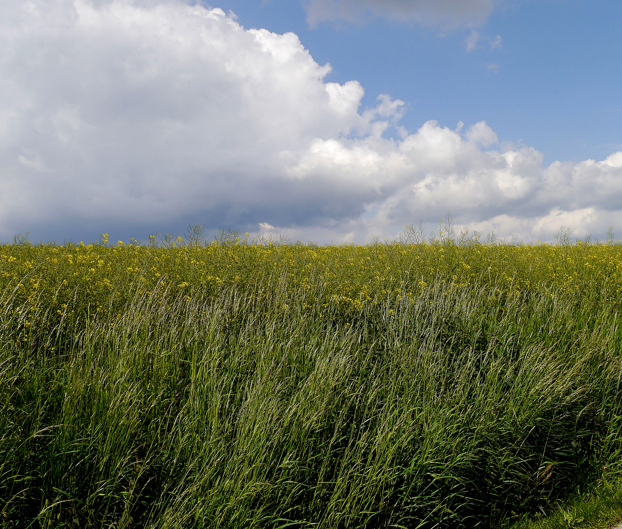 Wolken 