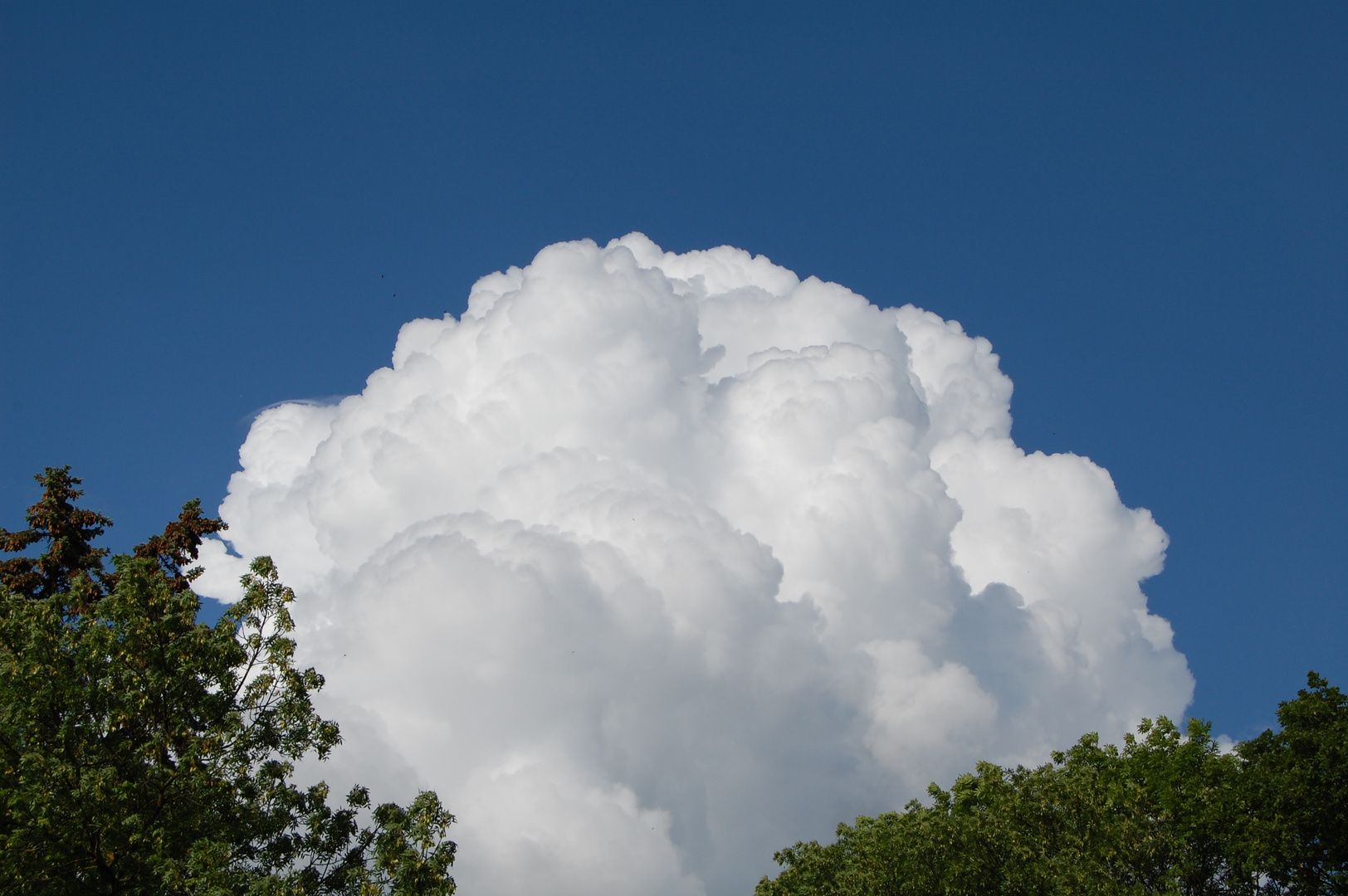 Wolken