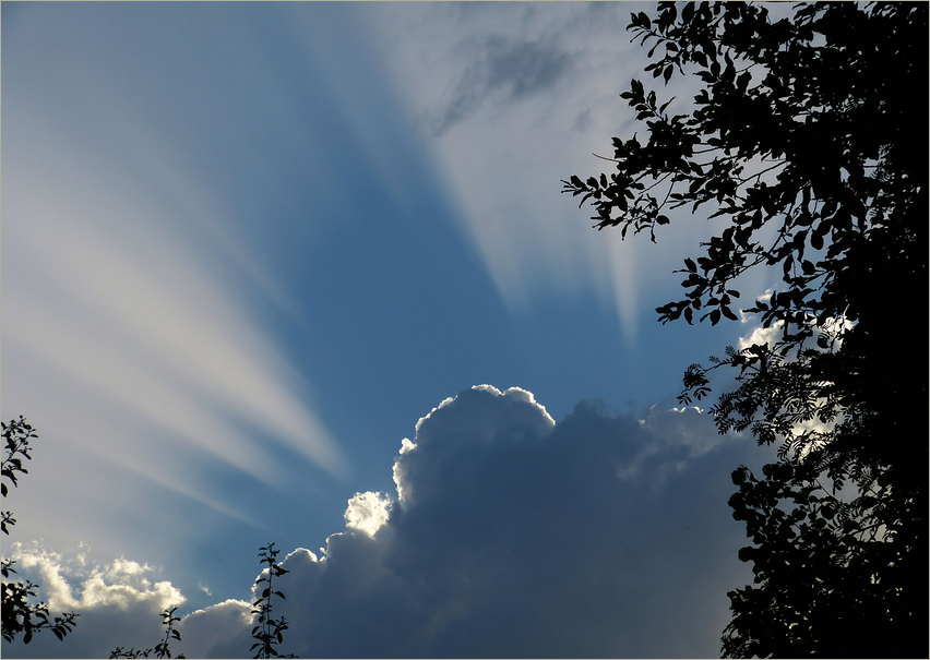 Wolken