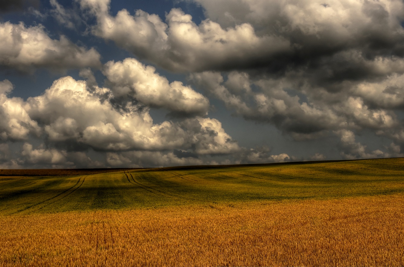 Wolken