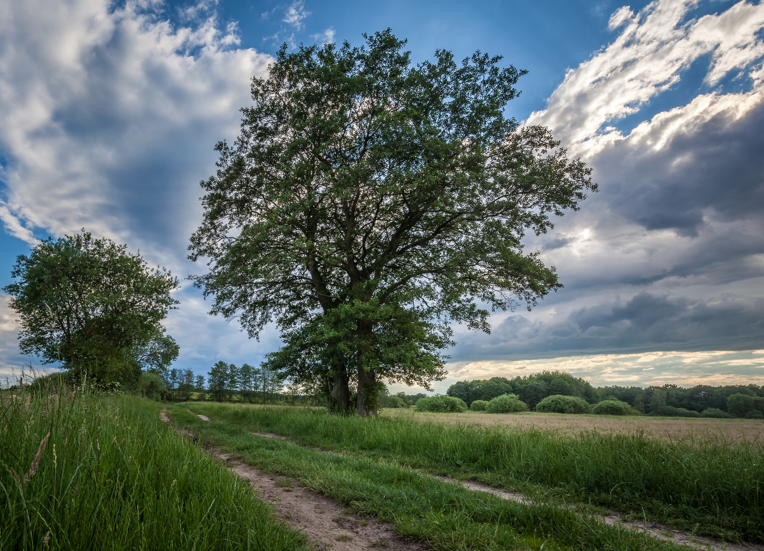 Wolken