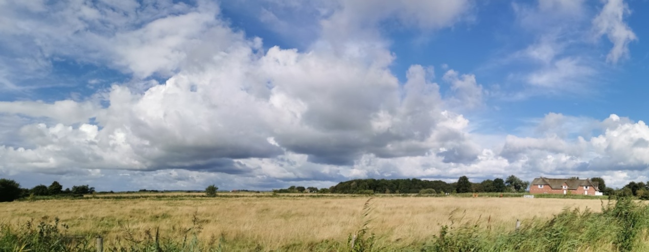 Wolken...