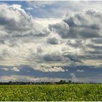 *-Wolken-Emotionen-*