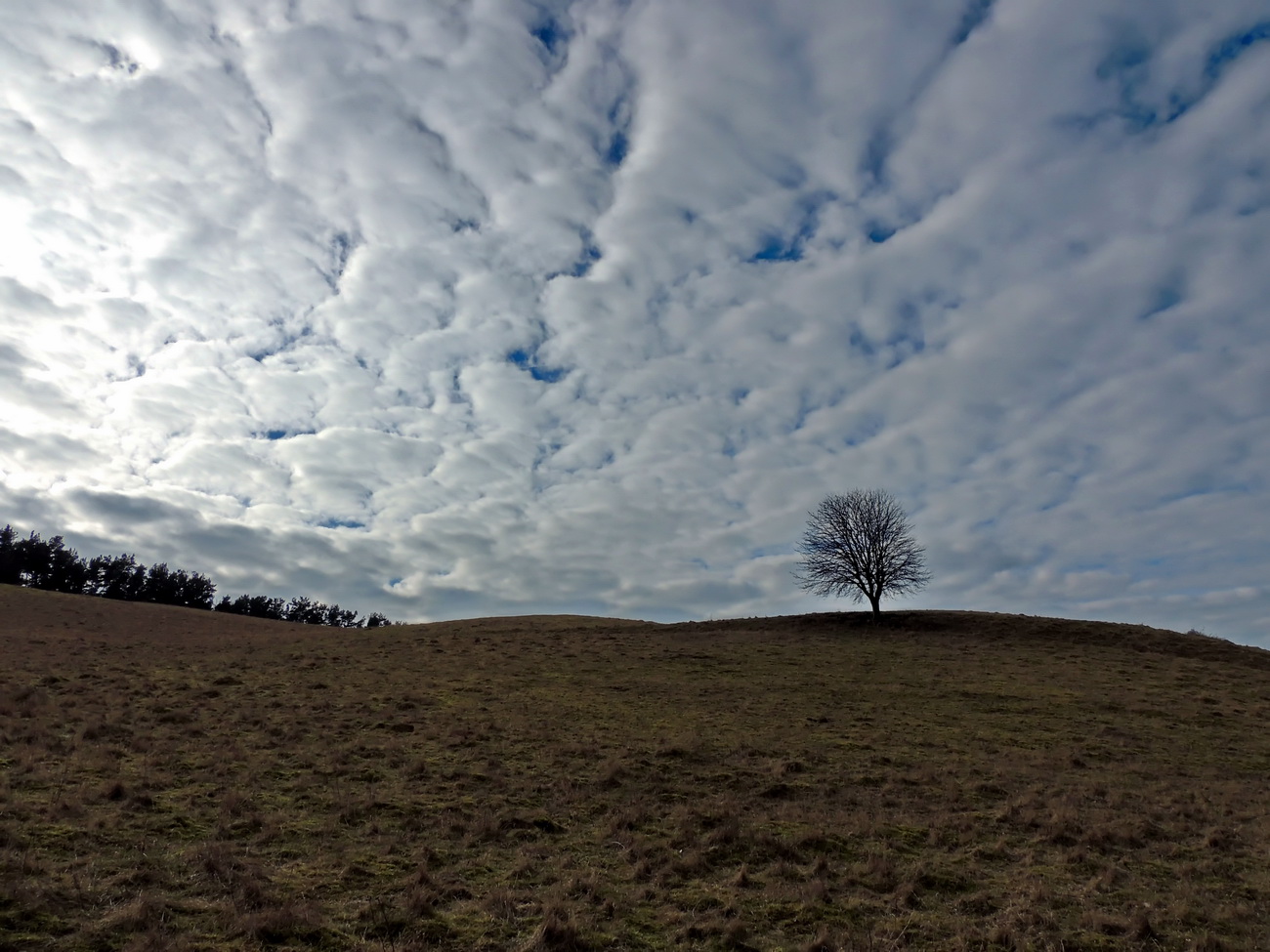 Wolken