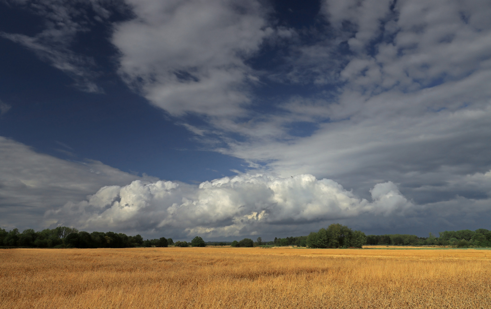 Wolken - Feld