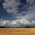 Wolken - Feld