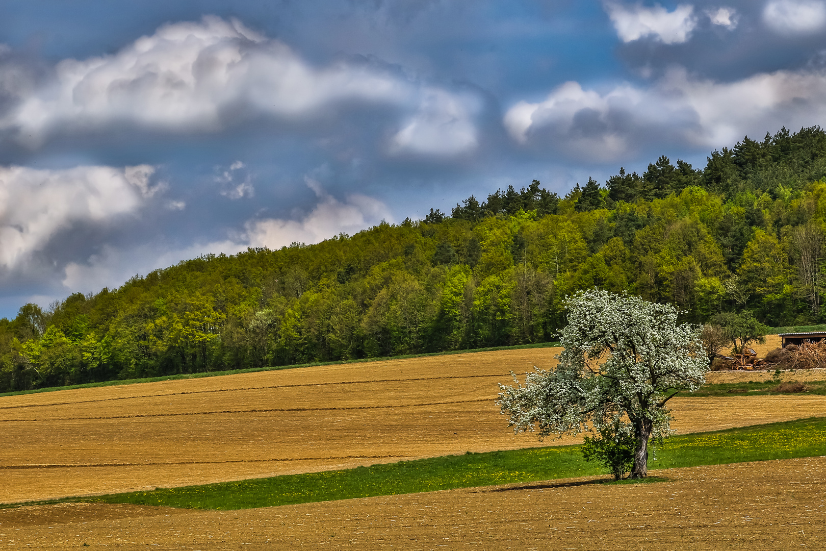 Wolken - Feld und Wald