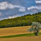 Wolken - Feld und Wald