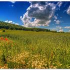 Wolken-Felder-Wälder-Wiesen